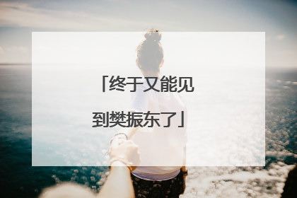 终于又能见到樊振东了